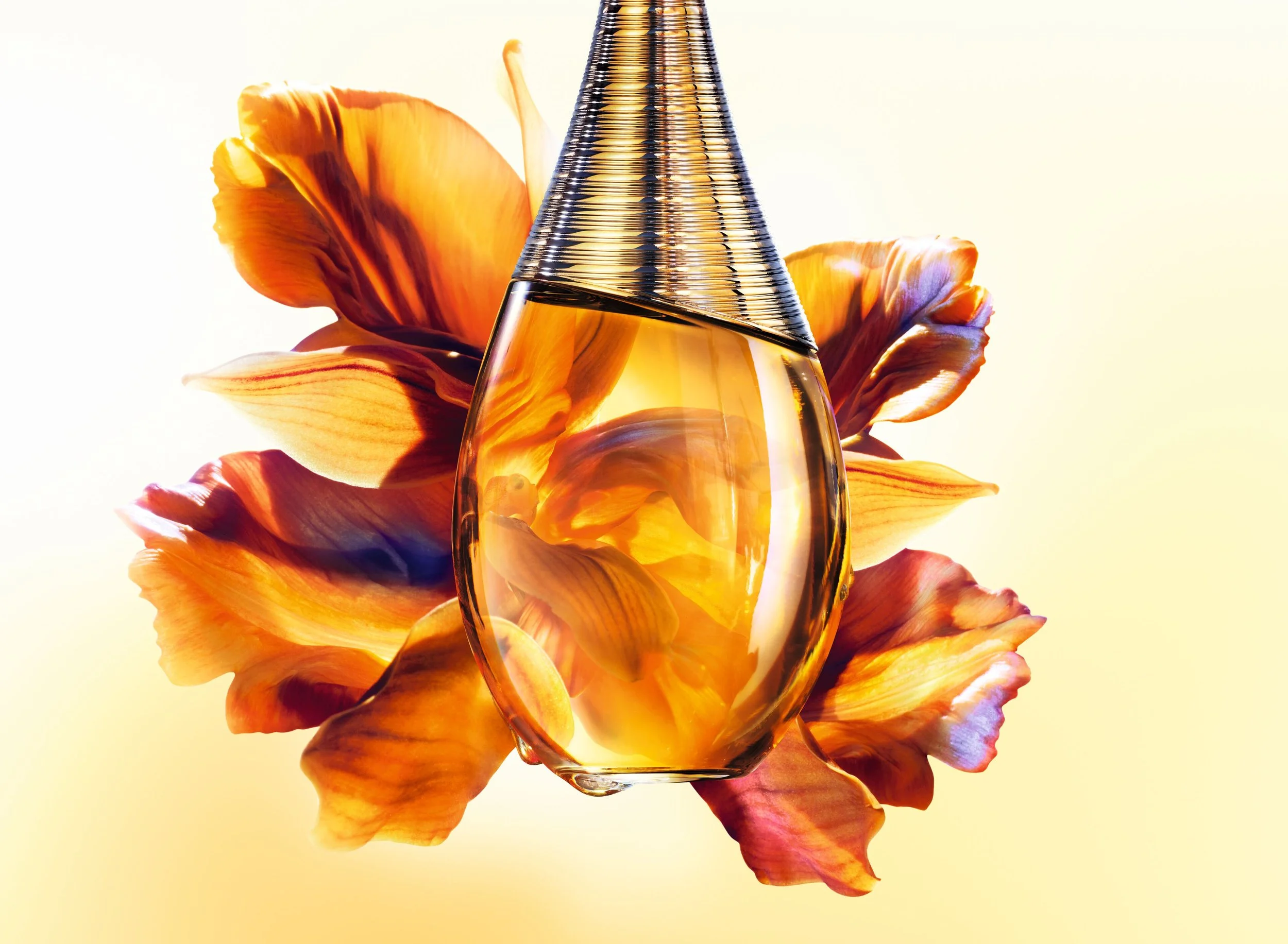 Dior Launches J'adore Intense — SEELE